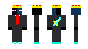 Skin X120YT