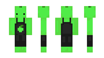 Skin YLR