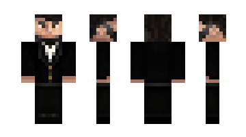 Skin ZBriggTheGamer