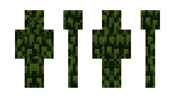 Skin Zaccah
