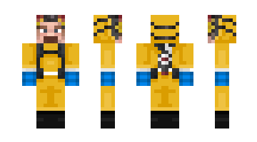 Skin ZhoikMC