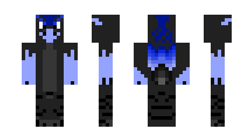 Skin alys