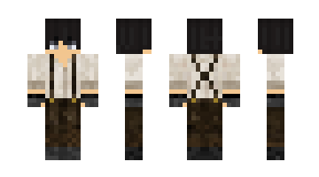 Skin aries03