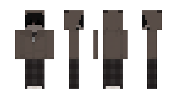 Skin auzti