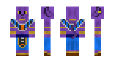 Skin beerus