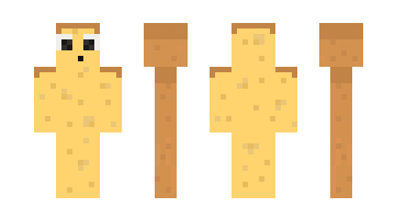 Skin brioche