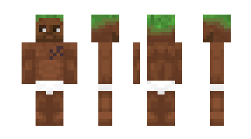 Skin bsdv