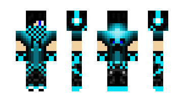 Skin bu77