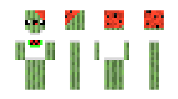 Skin c1111