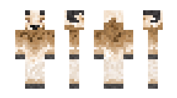 Skin cracksataan