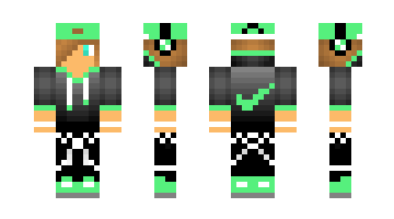 Skin daman2212