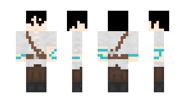 Skin desfi