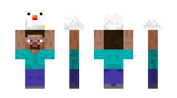 Skin donald13