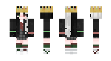 Skin drmikecraft