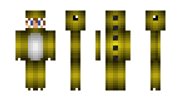 Skin dutchminer2011