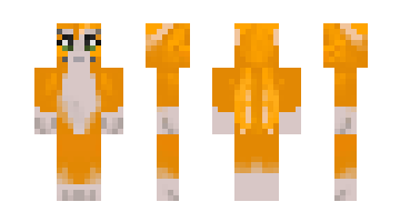 Skin e13