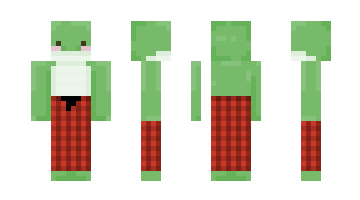 Skin froggie7