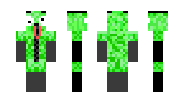 Skin gir