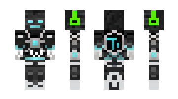 Skin huDi