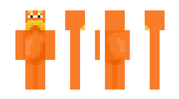 Skin invalkyrie