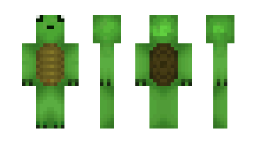 Skin kaboomturtle