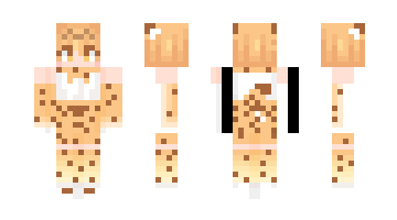 Skin kit4