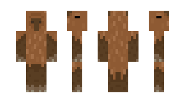 Skin ladycapybara