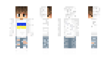 Skin meseve