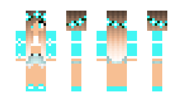 Skin minacraft