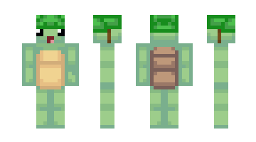 Skin minecraft13