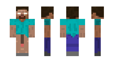 Skin miniportiw