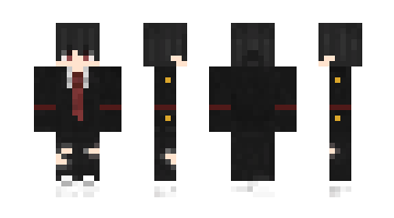 Skin nizgamer25