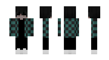 Skin overha