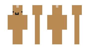 Skin oyuncukutu