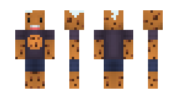 Skin paulgaming17