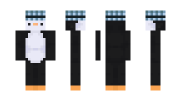 Skin pentr