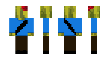 Skin pigcraft08