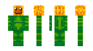 Skin plant