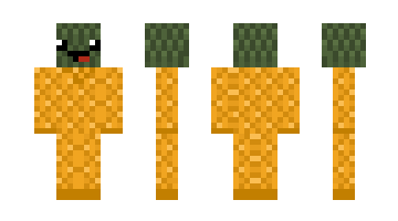Скін pnappl
