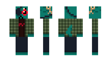 Skin robler64