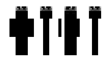 Skin segadi