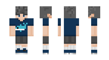 Skin simas1PRO