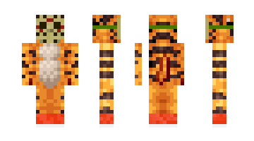 Skin tigger490