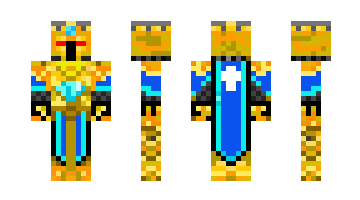 Skin toicim