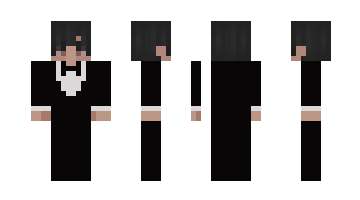 Скін towtle