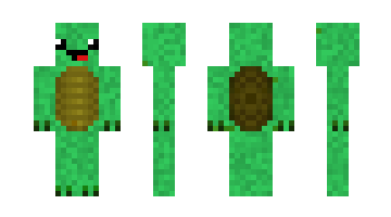 Skin turtle106