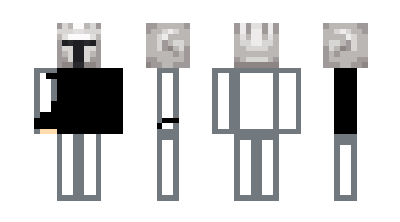 Skin v12x