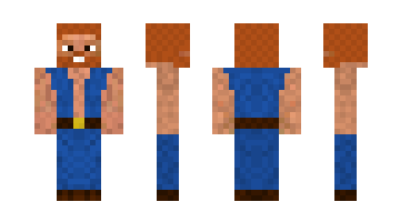 Skin van228