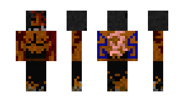 Skin wayLander