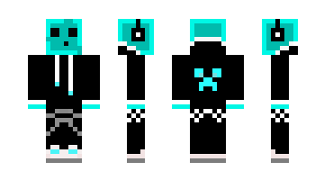 Skin wills01